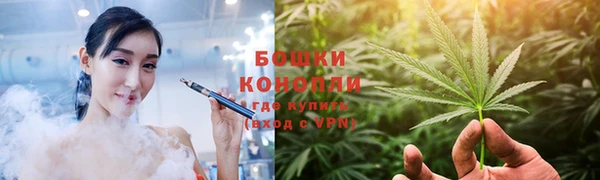прущие крисы Гатчина