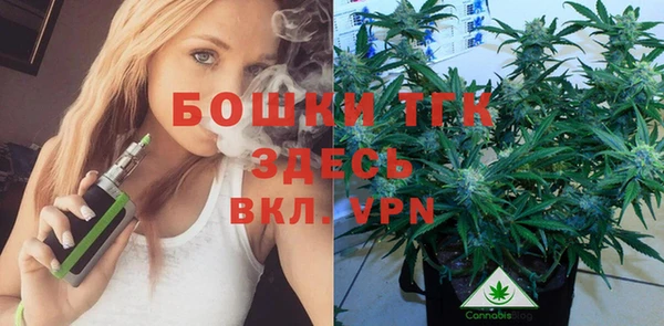 спайс Баксан