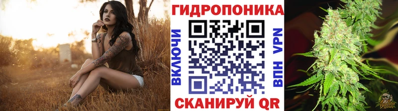 Бошки марихуана конопля даркнет сайт Вязники